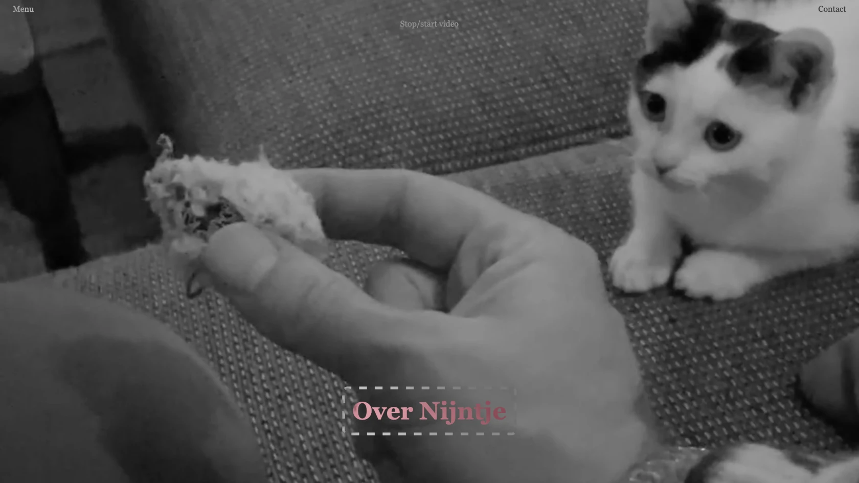 Screenshot, 'over Nijntje' pagina